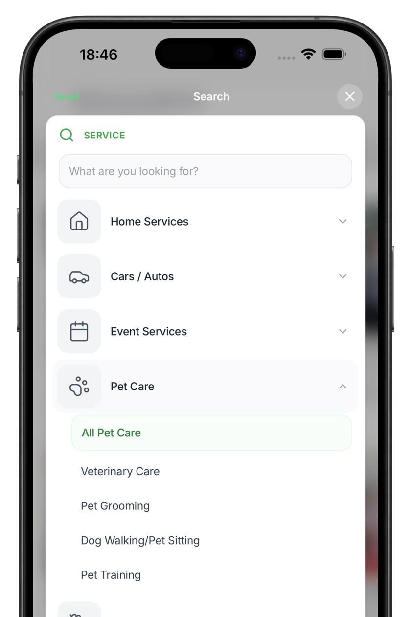 Customer app → search sheet → category tree